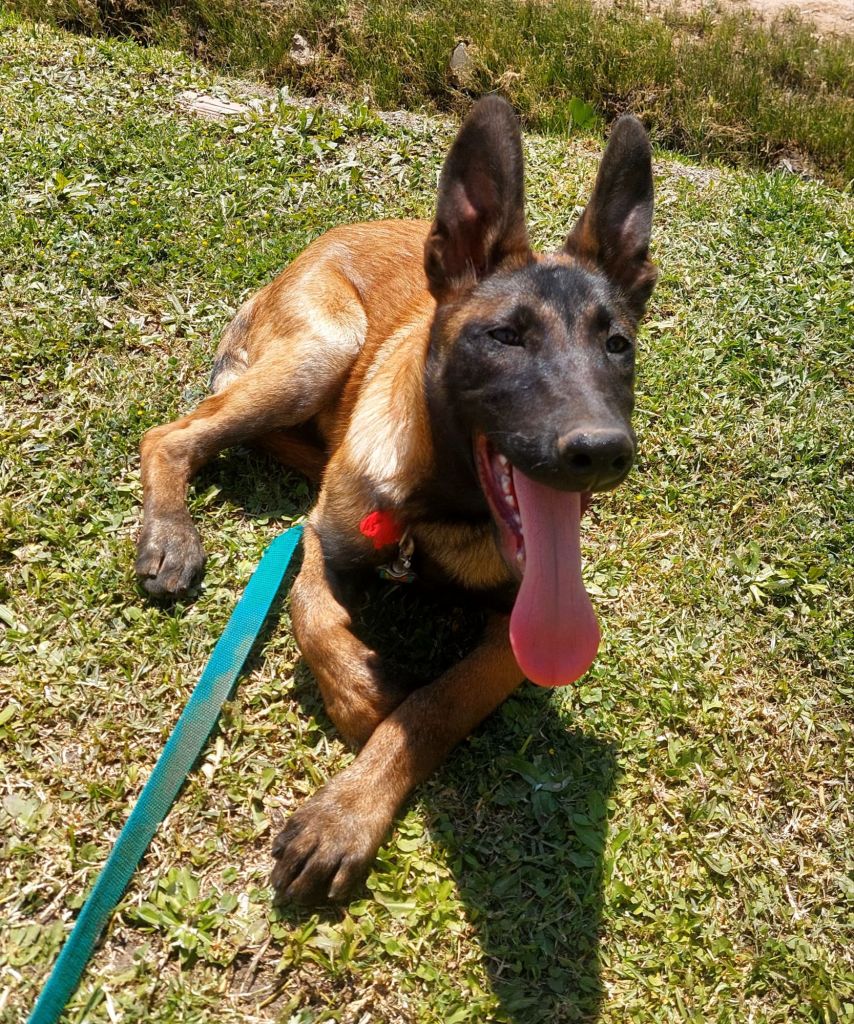 wp-17636891785694929944595896473006